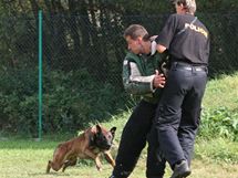 Jihomoravt policejn psi vyhrli mistrovstv republiky
