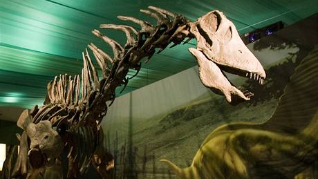 Píbh planety v Národním muzeu zaíná u velkého tesku a pokrauje u dinosaur.
