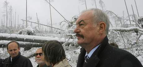 Pedseda Senátu Pemysl Sobotka si pijel na vlastní oi prohlédnout sporné lokality les v okolí umavského Stoce. Na snímku prochází po takzvané kalamitní svánici nedaleko Trojmezí. (14. 10. 2009)