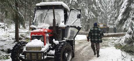 U slovensk Oravy padaly v dsledku silnho vtru stromy. (15. jna 2009)