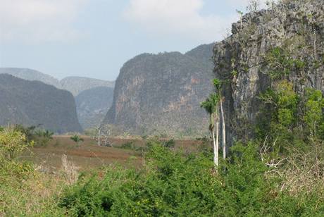 dol Vinales