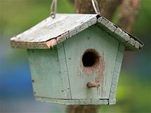 Budka napohled krsn, ale hned se dvma zsadnmi nedostatky. Bidlko na budku nepat, protoe usnaduje pstup predtorm. A dno m bt zsadn vsazeno mezi bon stny budky 