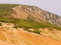 Trvy, vesy, kosodevina Podzim rozehrl krkonosk louky nad ledovcovm dolm mnoha odstny teplch barev.