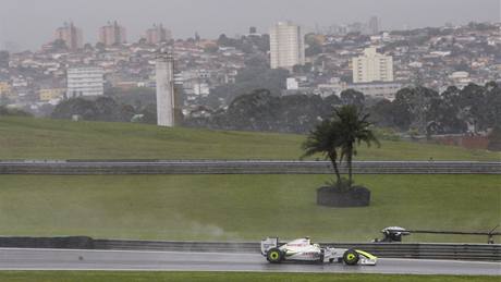 Velká cena Brazílie formule 1, Jenson Button s vozem Brawn