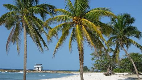 Ostrov Cayo Coco