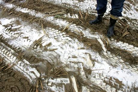 Protest zemdlc v Puklici na Vysoin. (29. jna 2009)