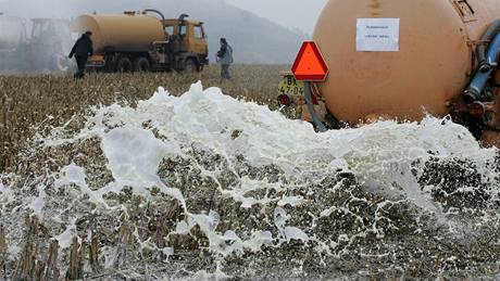Zemdlci v Boitov vylévají mléko do polí
