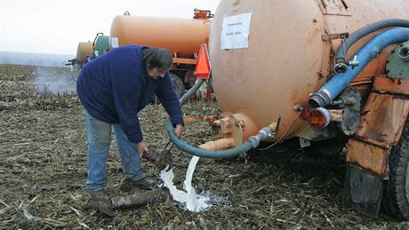Zemdlci v Boitov vylévají mléko do polí