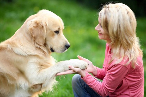Posluný pes pináí svému majiteli více radosti i klidu 