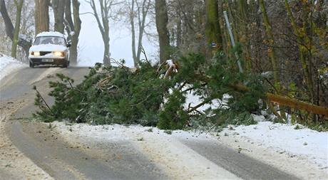 Spadlý strom pes silnici z Rudky do Kuntátu. (4. listopadu 2009)