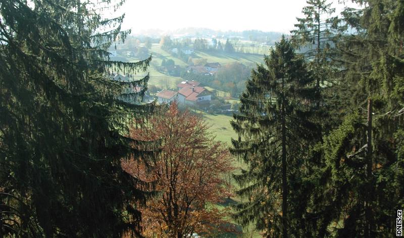 Stezka v korunách strom v Bavorském lese