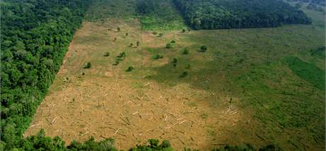 Vykácený detný prales v brazilské Amazonii.