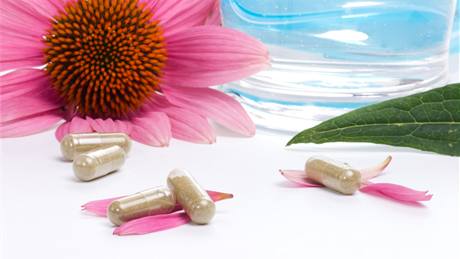 Tapatka nachová (Echinacea) psobí preventivn i léebn, a u preferujete tinkturu nebo koen nadrcený v tobolkách. Pro dti je nejvhodnjí sirup. 