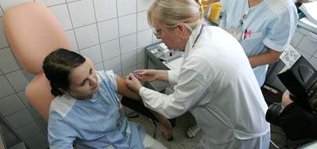 Helena Vildová, lékaka Kliniky pracovního lékaství Fakultní nemocnice v Olomouci okuje první zamstnance nemocnice látkou proti tzv. praseí chipce. (23. listopadu 2009)
