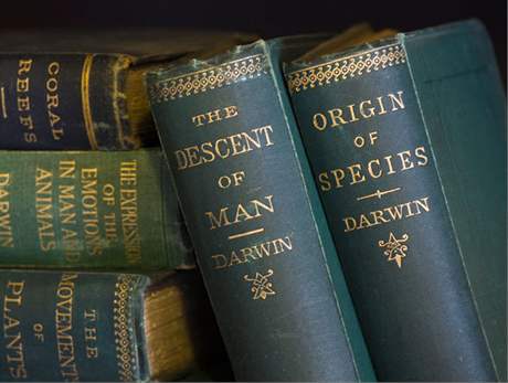 24. listopadu 1859 spatilo svtlo svta 1250 kopií 1. vydání knihy Charlese Darwina O vzniku druh pirozeným výbrem. 