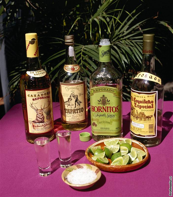 Tequila, limetka, sl. Obad pití nápoje z agáve me zaít