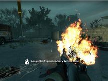 Left 4 Dead 2 (PC)