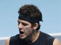 Juan Martin del Potro 