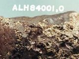 Meteorit ALH 84001 z Marsu