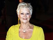 Z londnsk premiry filmu Nine (Judi Dench)  