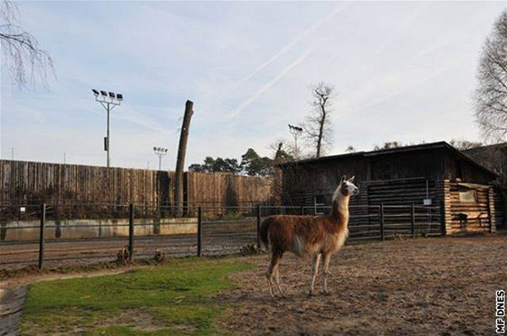 Hodonínská zoo, ilustraní foto