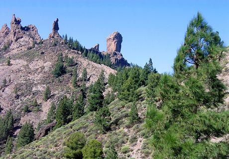 Kanrsk ostrovy. Gran Canaria