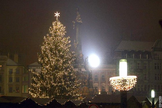 Anketa o nejkrásnjí vánoní strom v republice - Olomouc