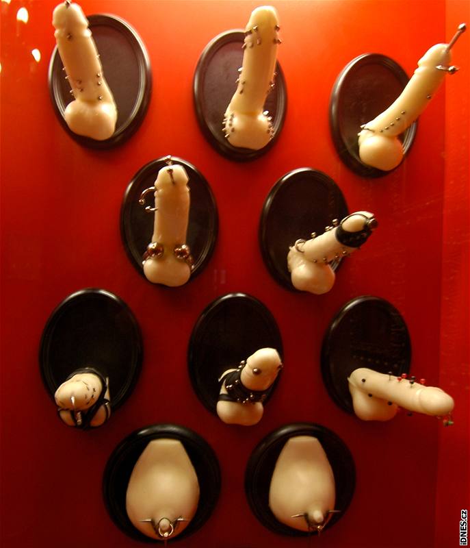 Muzeum sexu v Praze