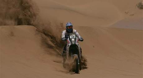 tefan Svitko, Dakar 2010