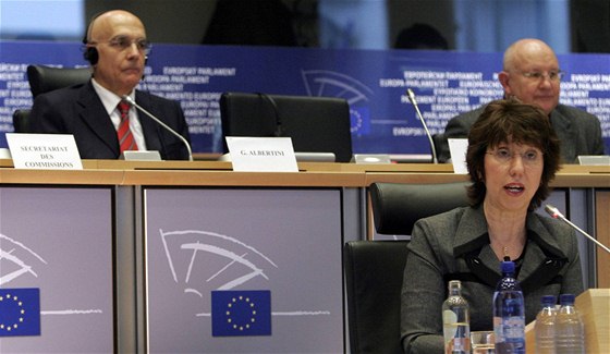 Catherine Ashtonová ped europoslanci (11.1.2010)