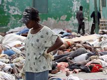 Haianka hled pbuzn mezi mrtvmi ped mrnic v Port-au-Prince. (14. ledna 2010)