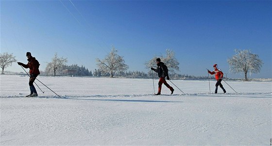 tvrtinu bkaských tras Jeseník leících v Olomouckém kraji letos nebude nikdo udrovat. Bkai si je tak budou muset vylapat sami. (Ilustraní snímek)