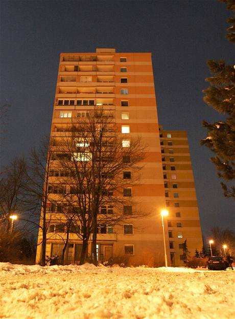 Panelk v Olomouci, ze kterho ena vyhodila dt a sama skoila