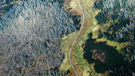 Letecký snímek Luzenského údolí z roku 2002. Na okrajích údolí jsou vidt smrky, které peily (dodnes) pemnoení lýkorouta v této oblasti