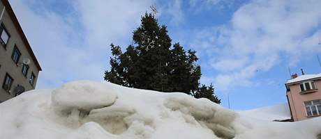 Vánoní strom v Miroslavi na Znojemsku nemohli kvli mrazm do Tí králu uklidit 
