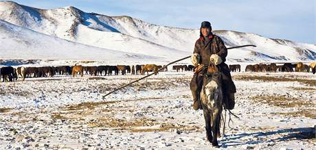 Mongolské stepi pepadly vraedné mrazy a decimují dobytek tamních pastevc.