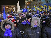 Pznivci Viktora Janukovye na pedvolebnm setkn
