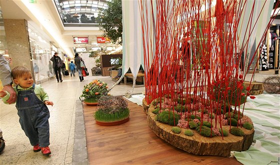 Výstava student zahradnické fakulty v brnnské Galerii Vakovka