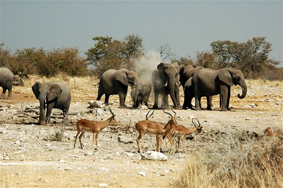 Namibie, Národní park Etosha