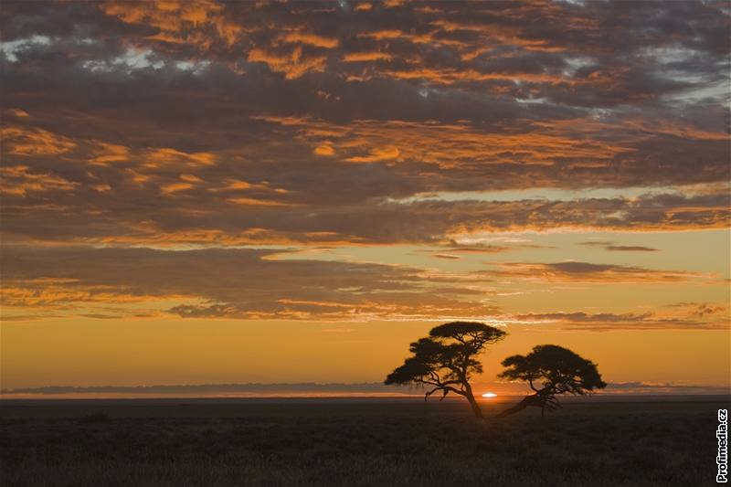 Namibie, Národní park Etosha