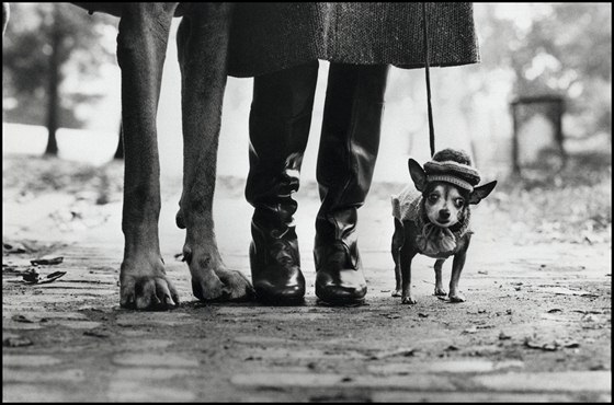 Elliott Erwitt - New York, 1974