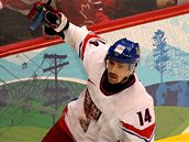 Radost českého hráče Plekance po vstřelení gólu Rusům na ZOH ve Vancouveru. Radost českého hráče Plekance po vstřelení gólu Rusům na ZOH ve Vancouveru.