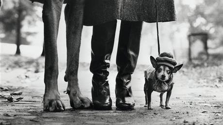 Elliott Erwitt - New York, 1974