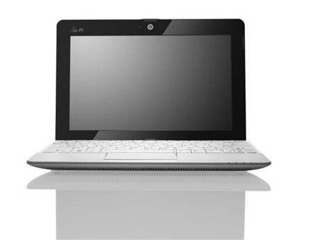 Ion Netbook