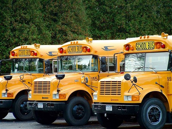 Americké kolní autobusy. Ilustraní foto