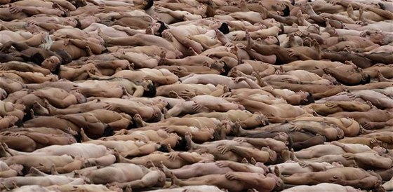 Spencer Tunick svlékl tisíce Australan