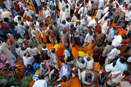 Hinduistick svtky a festivaly navtvuj davy indickch vcch. Ilustran foto