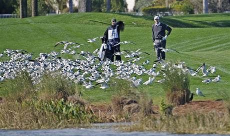 Jimmy Walker ek ped rnou na turnaji Honda Classic, a se zvedne hejno ptk.