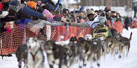 Musher Newton Marshall na závod se svým psím speením.