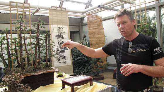 Petr Hron poádá v botanické zahrad pírodovdecké fakulty v Brn  výstavu bonsají